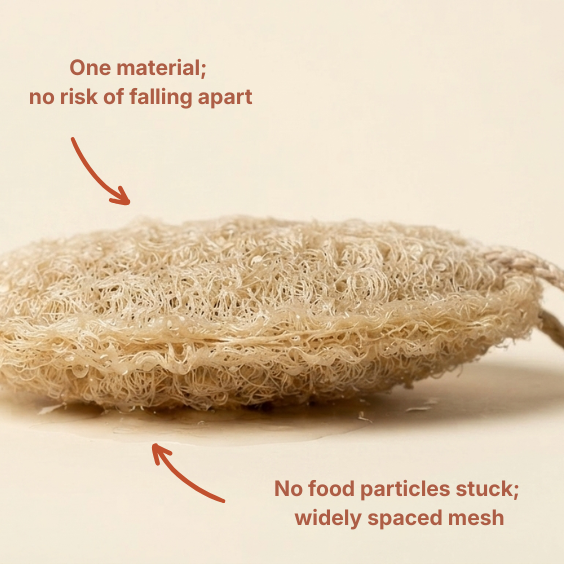 THE 2 SHELL SPONGES