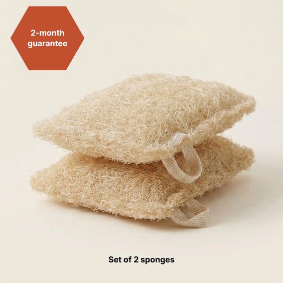THE 2 SHELL SPONGES
