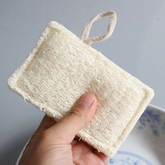 THE 10 SHELL SPONGES
