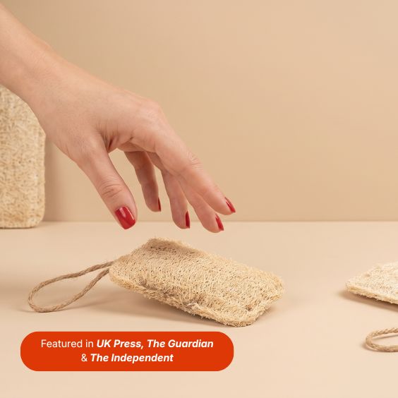 THE 10 SHELL SPONGES