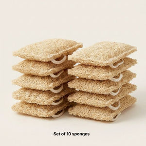 THE 10 SHELL SPONGES